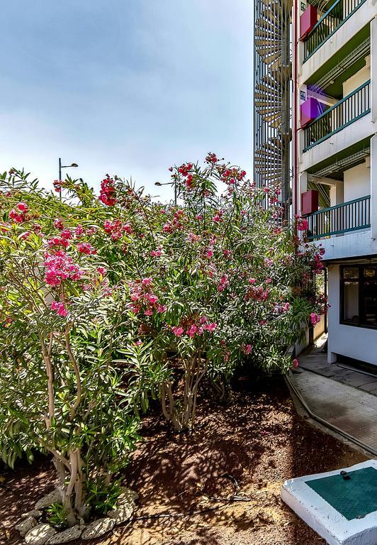 Vina Del Mar Ocean Apartment ปลายาเดลาสอเมริกาส ภายนอก รูปภาพ