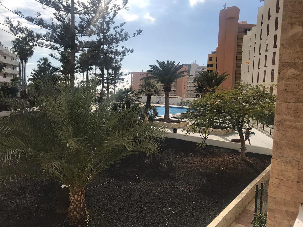 Vina Del Mar Ocean Apartment ปลายาเดลาสอเมริกาส ภายนอก รูปภาพ